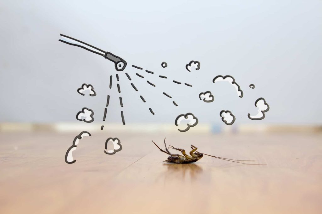 cockroach spray