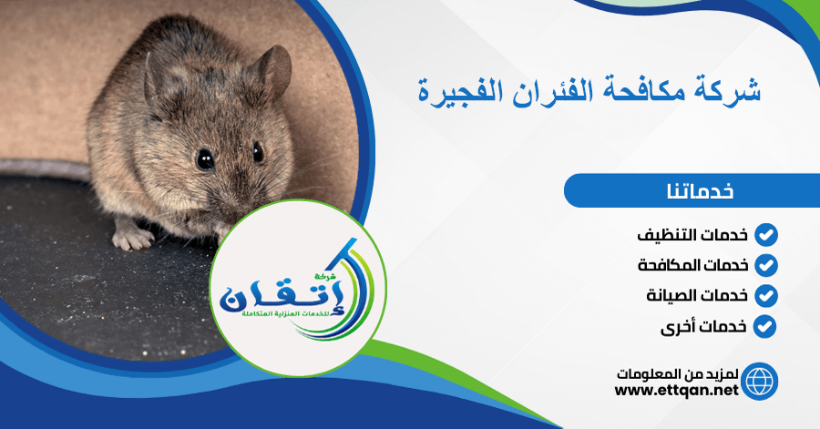 شركة مكافحة الفئران الفجيرة