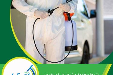 شركة مكافحة حشرات في أم القيوين
