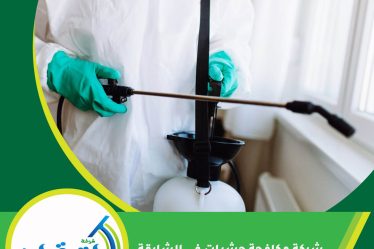 شركة مكافحة حشرات في الشارقة