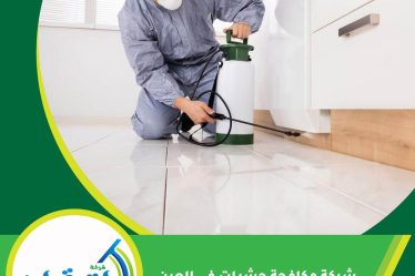 شركة مكافحة حشرات في العين