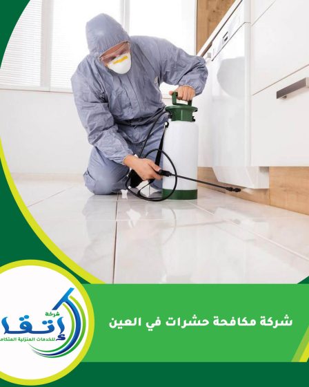 شركة مكافحة حشرات في العين