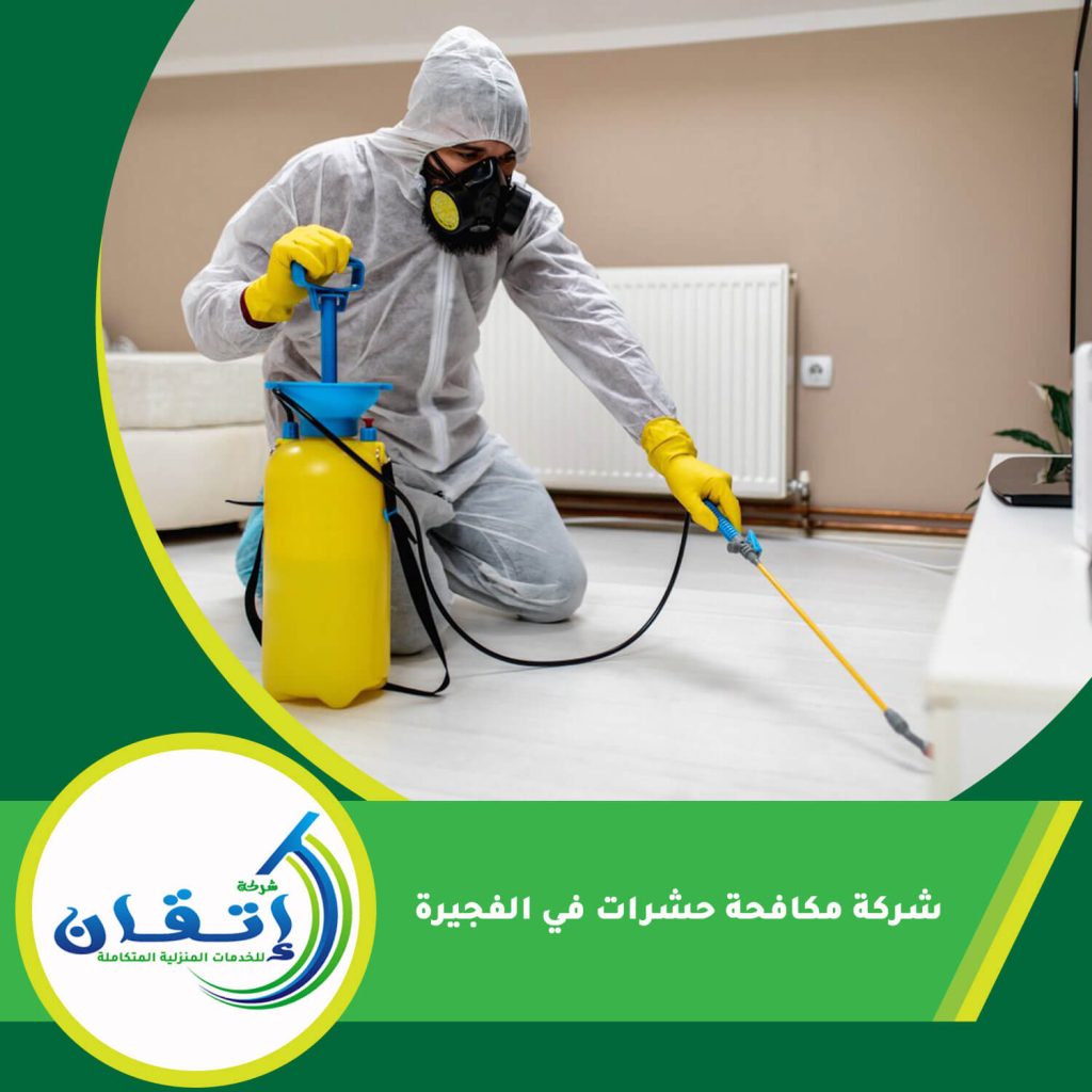 شركة مكافحة حشرات في الفجيرة
