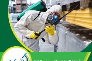 شركة مكافحة حشرات في رأس الخيمة