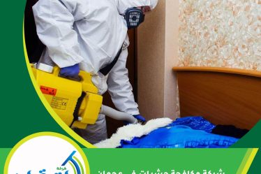 شركة مكافحة حشرات في عجمان