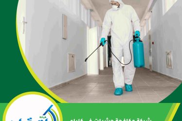 شركة مكافحة حشرات في كلباء