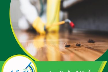 شركات رش الصراصير