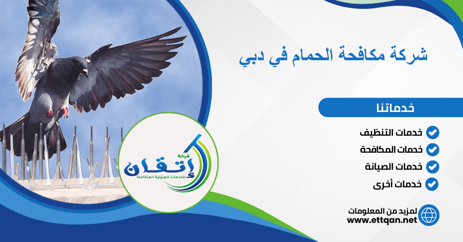 شركة مكافحة الحمام في دبي